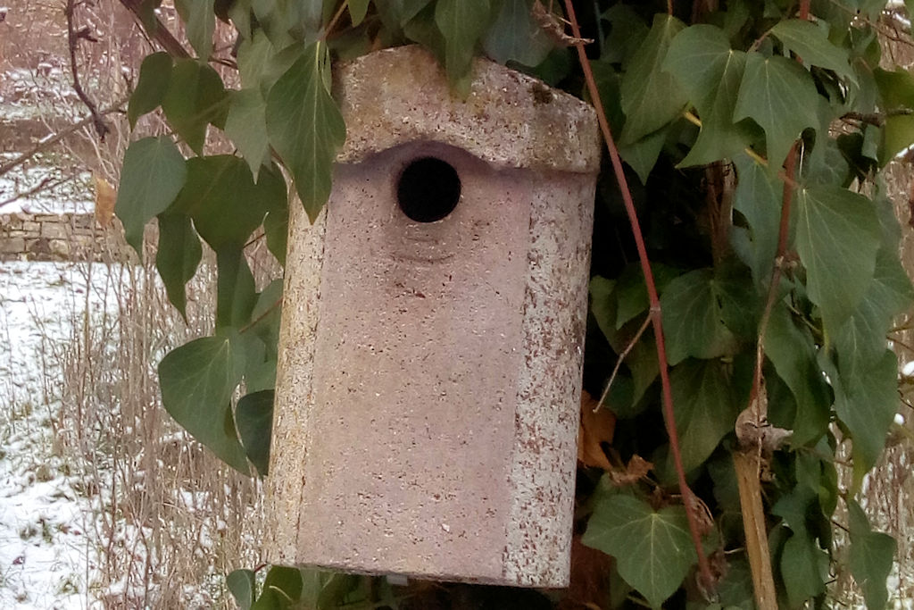 Der Garten im Herbst