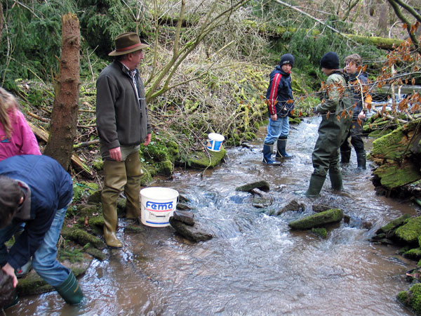 Jugend bei biologischer Wasserüberprüfung im Stadelbach 