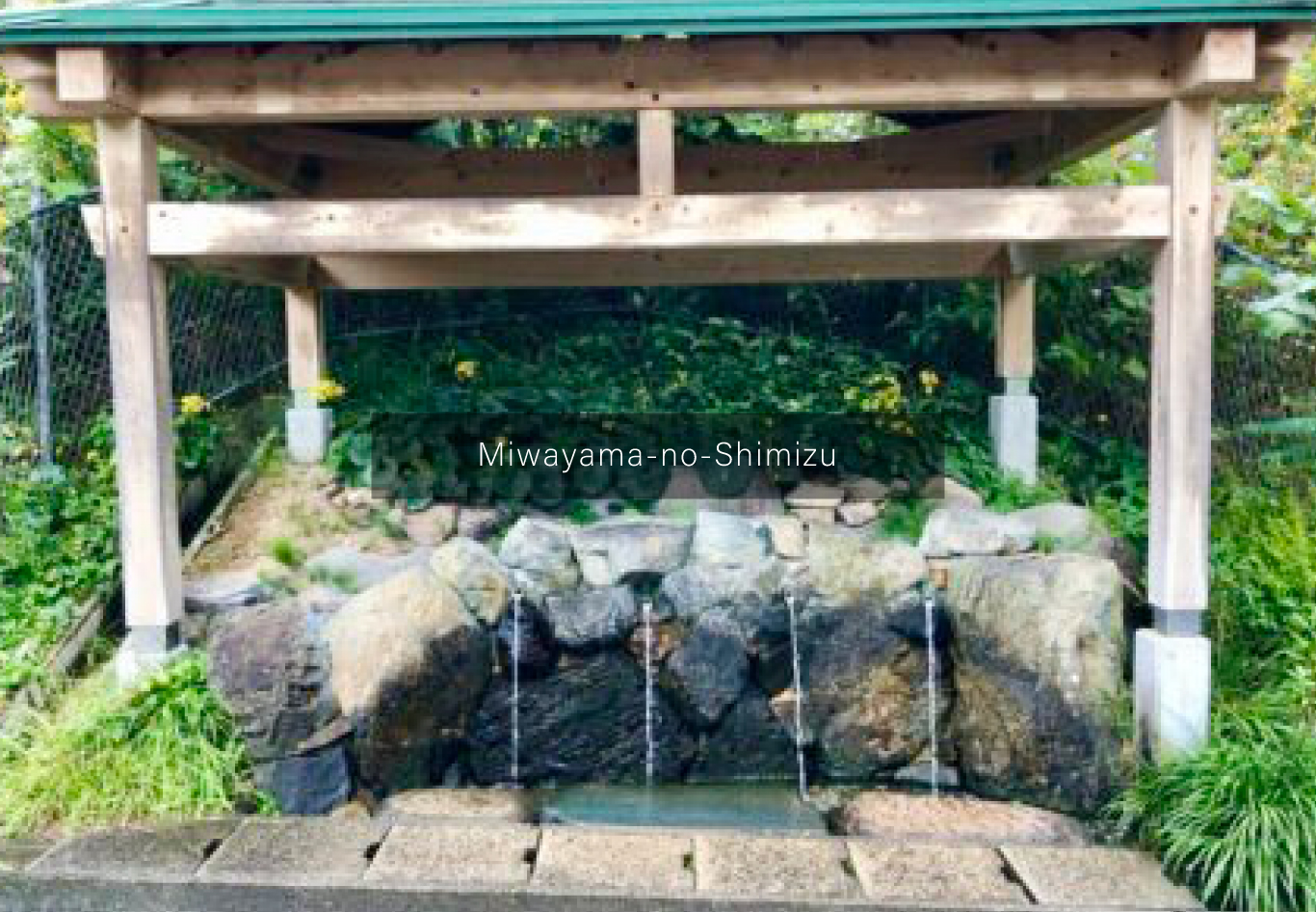 18. MIWAYAMA-NO-SHIMIZU SPRING