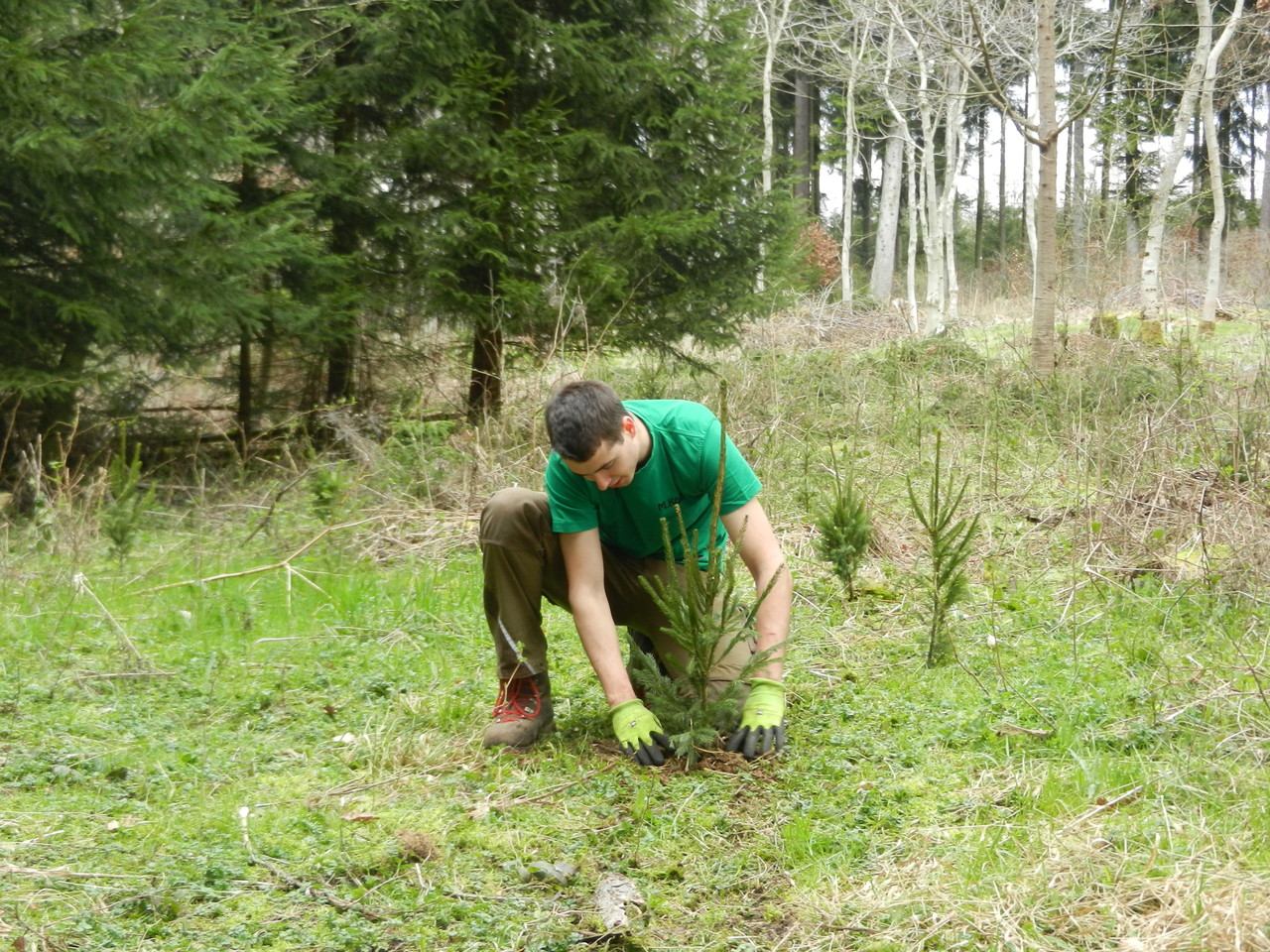 Forstarbeiten Forstbetrieb M.Koch