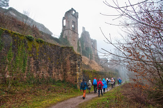 Neu-Scharfeneck, März 2014