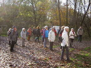 November 2014 auf dem Waldenserpfad bei Mörfelden