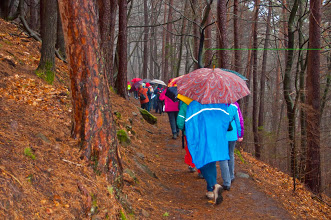 Auf dem Weg zu Neu-Scharfeneck, März 2014