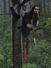 Juli 2014, notgelandete Hexe an der Hexenruh bei Oberweißenbrunn