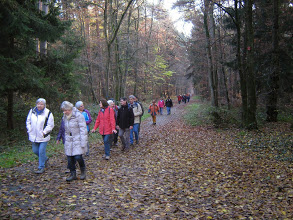 November 2014 auf dem Waldenserpfad bei Mörfelden