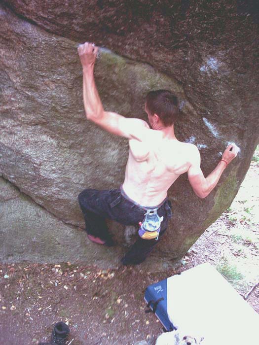 vorwald_zellfalkenstein_2005. Foto: Lindner Tom