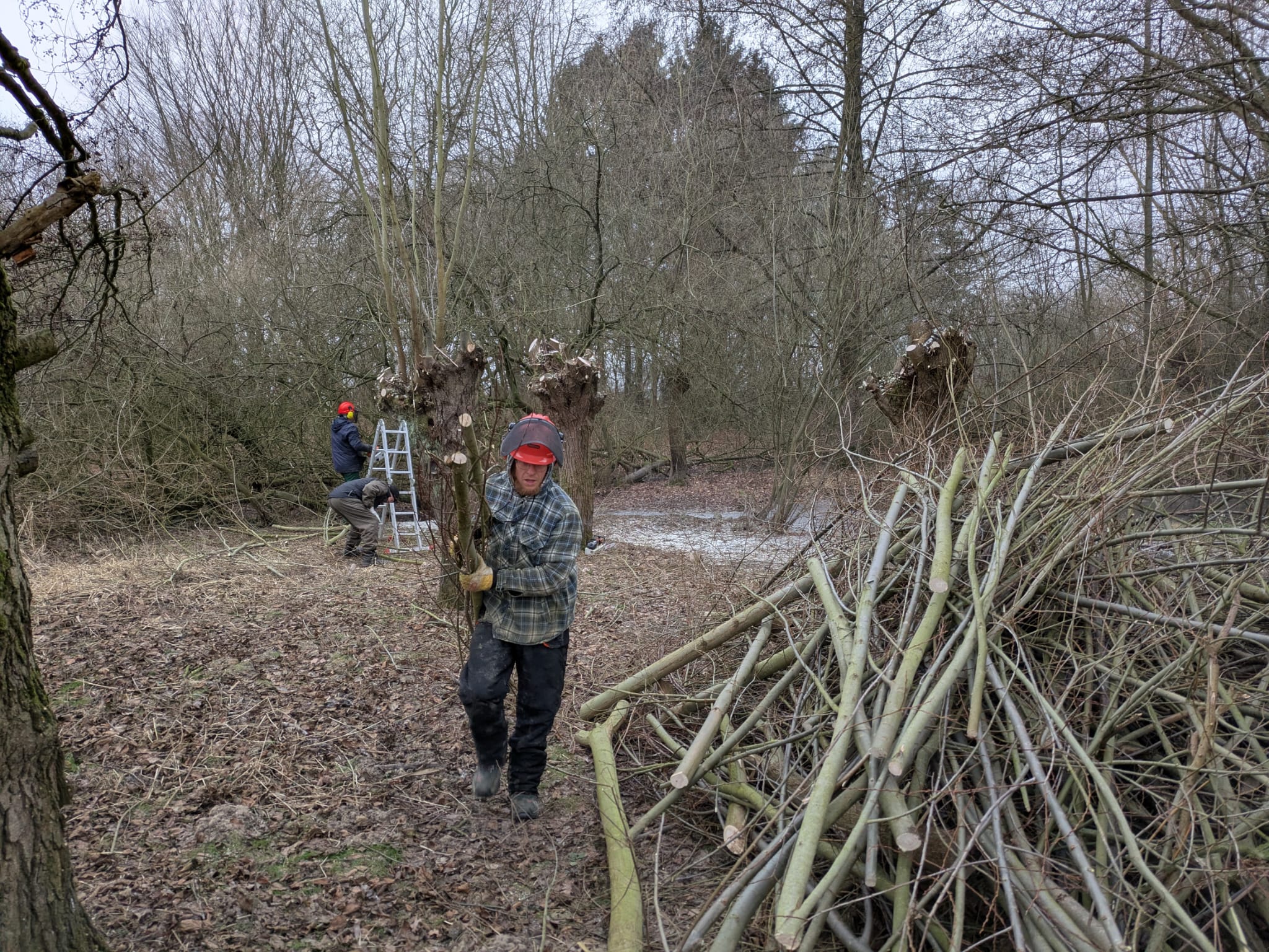 FOTO: NABU Bad Münder