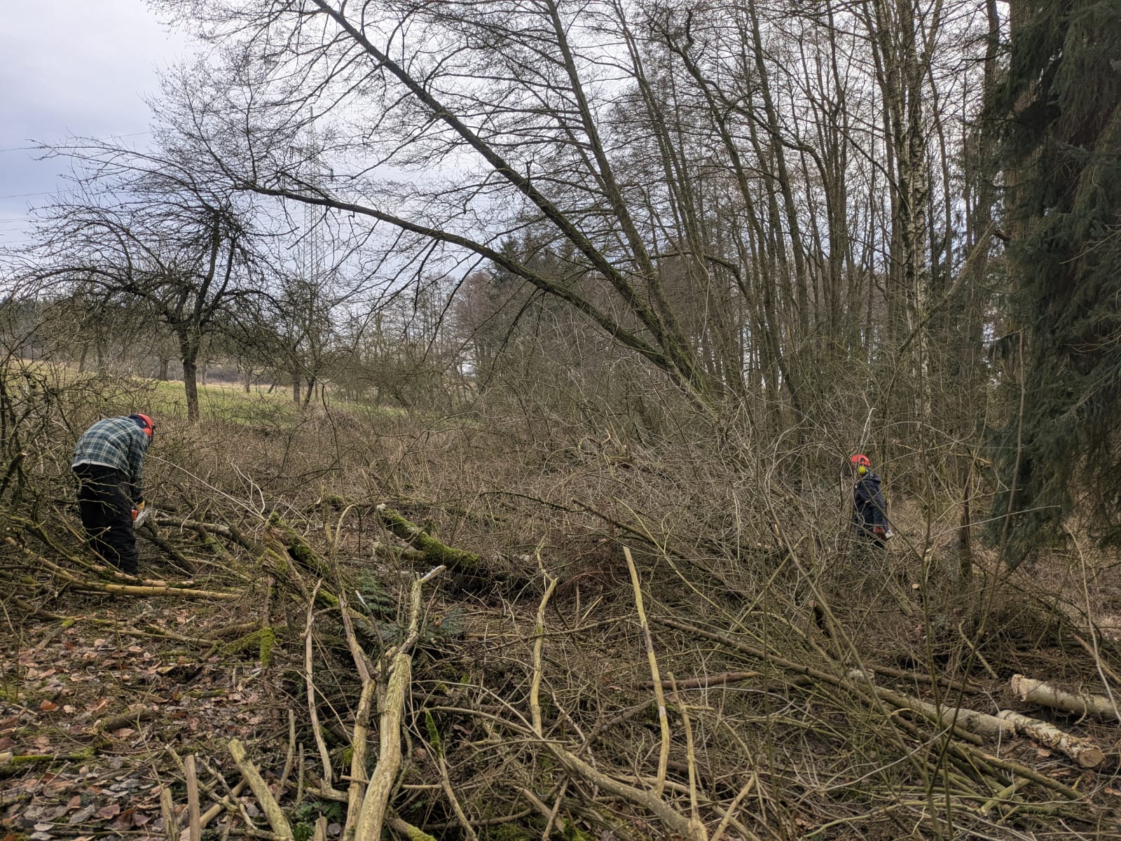 FOTO: NABU Bad Münder