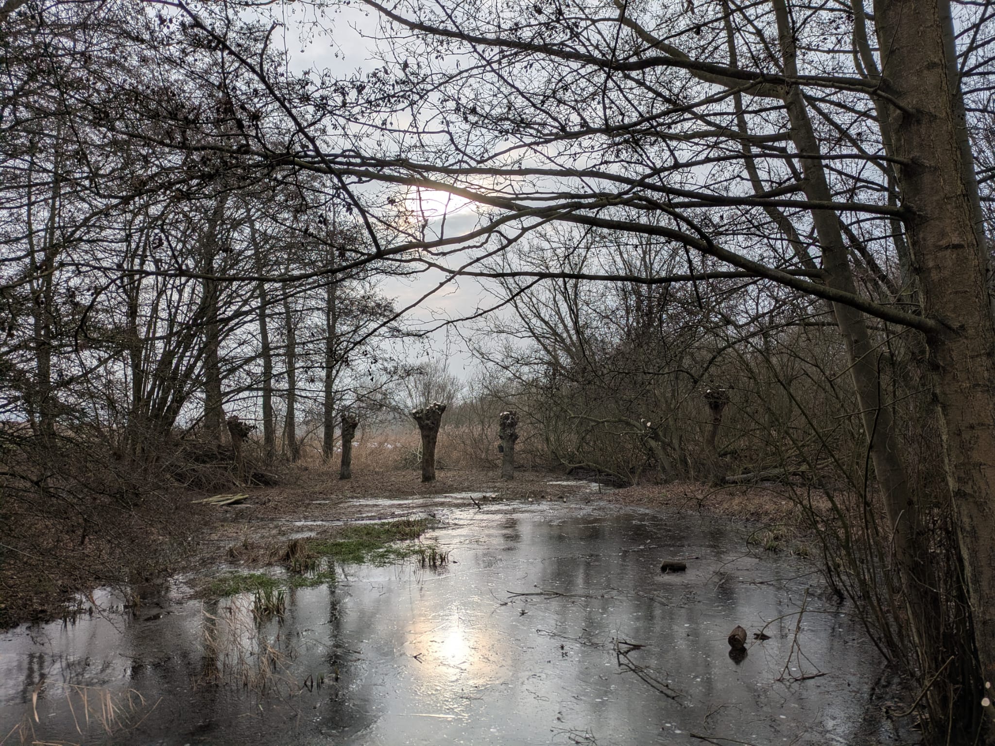 FOTO: NABU Bad Münder