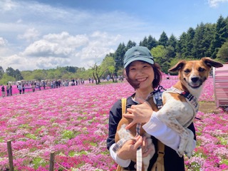 芝桜を見に行ってきました ♪