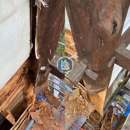 わたしは、無力！ わたしは、コリンズ！　月面を近くに見ながら、歩くことなく帰還した、 わたしは、ピアノ！　この先どないせというのジャジ　そんなこと知るかいな つづく #週刊シティーボーイ