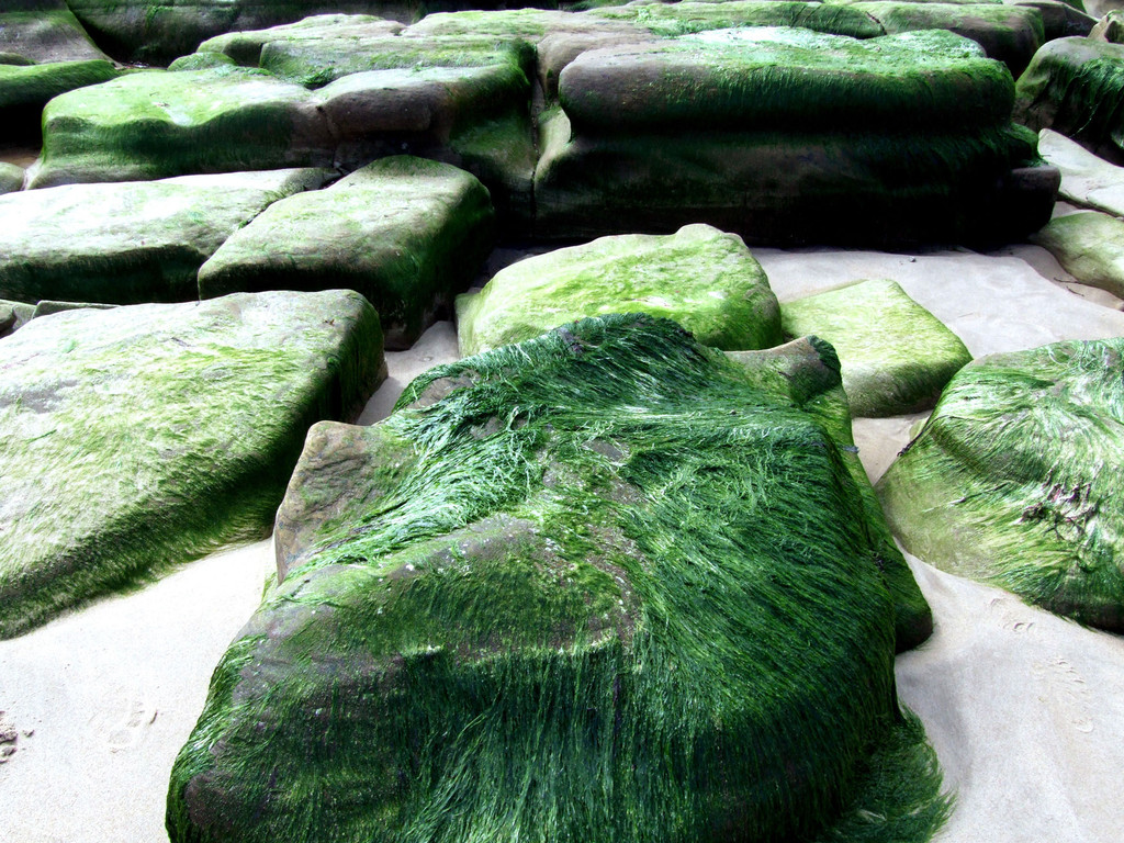 Green Stone