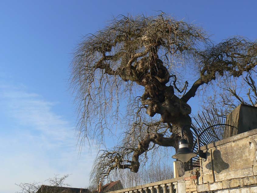 en descendant sur la place de la Grève