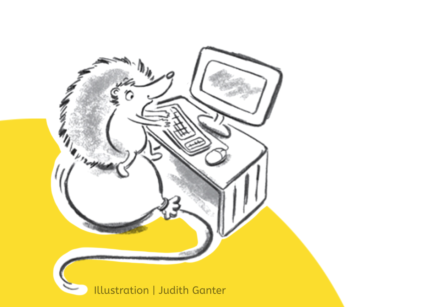 Illustation Igel auf Luftballon an PC - Kreativität im Alltag - Workshops mit Judith Ganter - Hamburg Altona