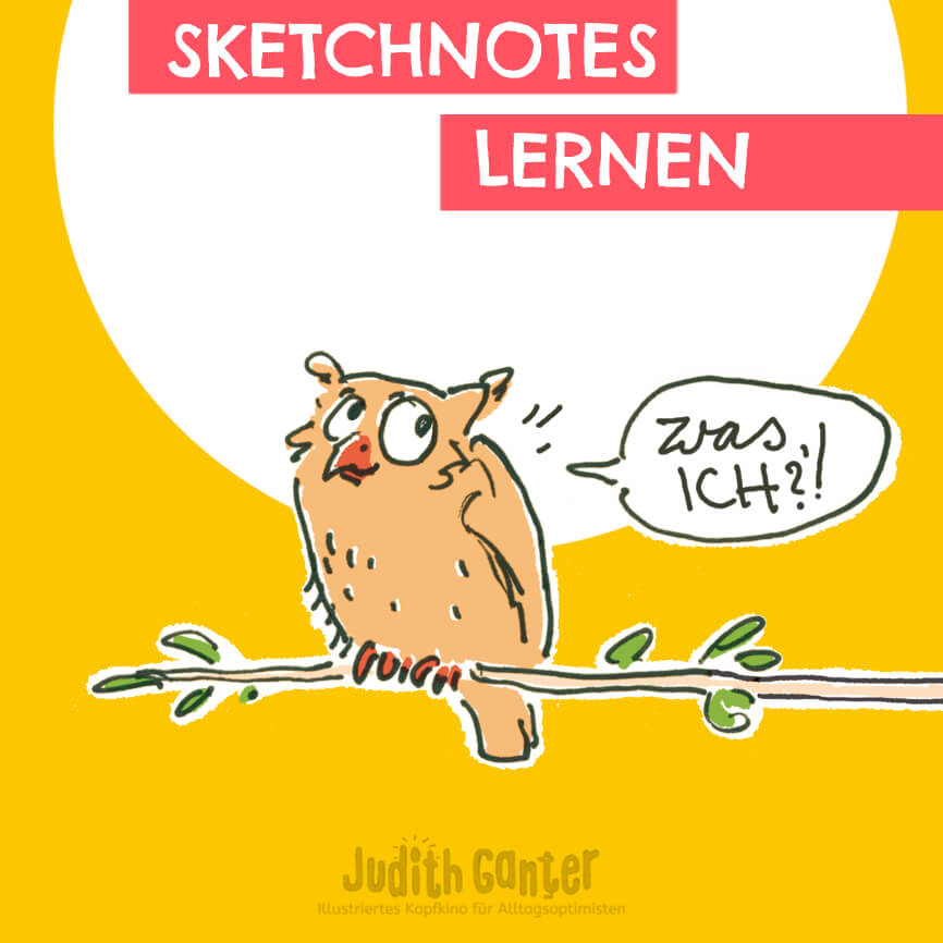 Sketchnote einer schlafenden Eule mit dem Schriftzug „Sketchnotes lernen“, die aufwacht und überrascht reagiert – Symbol für neue kreative Möglichkeiten durch visuelle Kommunikation im Team und Beruf.