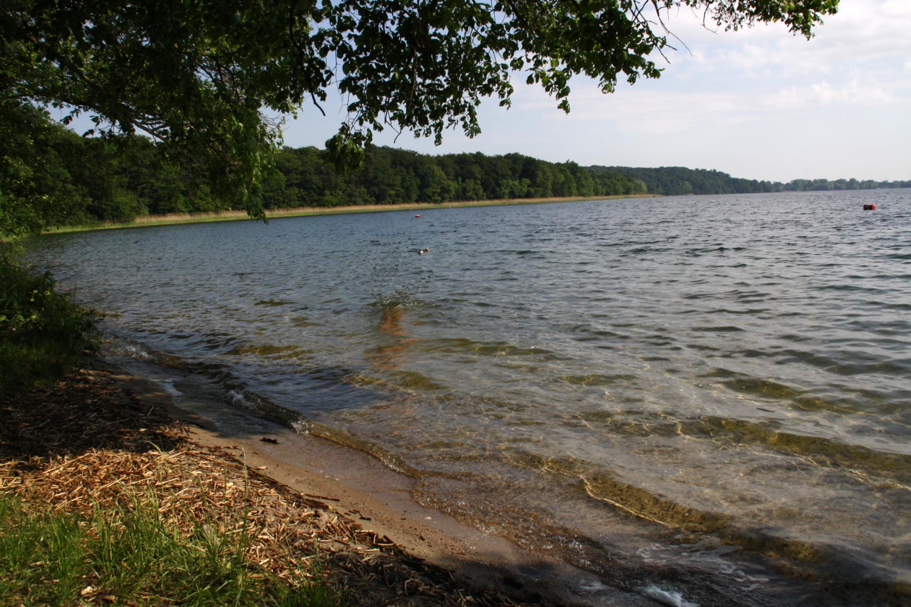 FKK am Tollensesee - nackedeis Webseite!