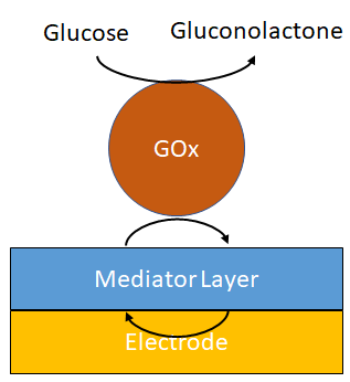 Figura 3. Esquema de un biosensore de glucosa de 2.5ª generación.