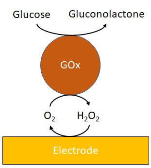 Figura 1. Esquema de un biosensor de glucosa de 1ª generación.