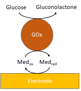 Figura 2. Esquema de un biosensor de glucosa de 2ª generación.