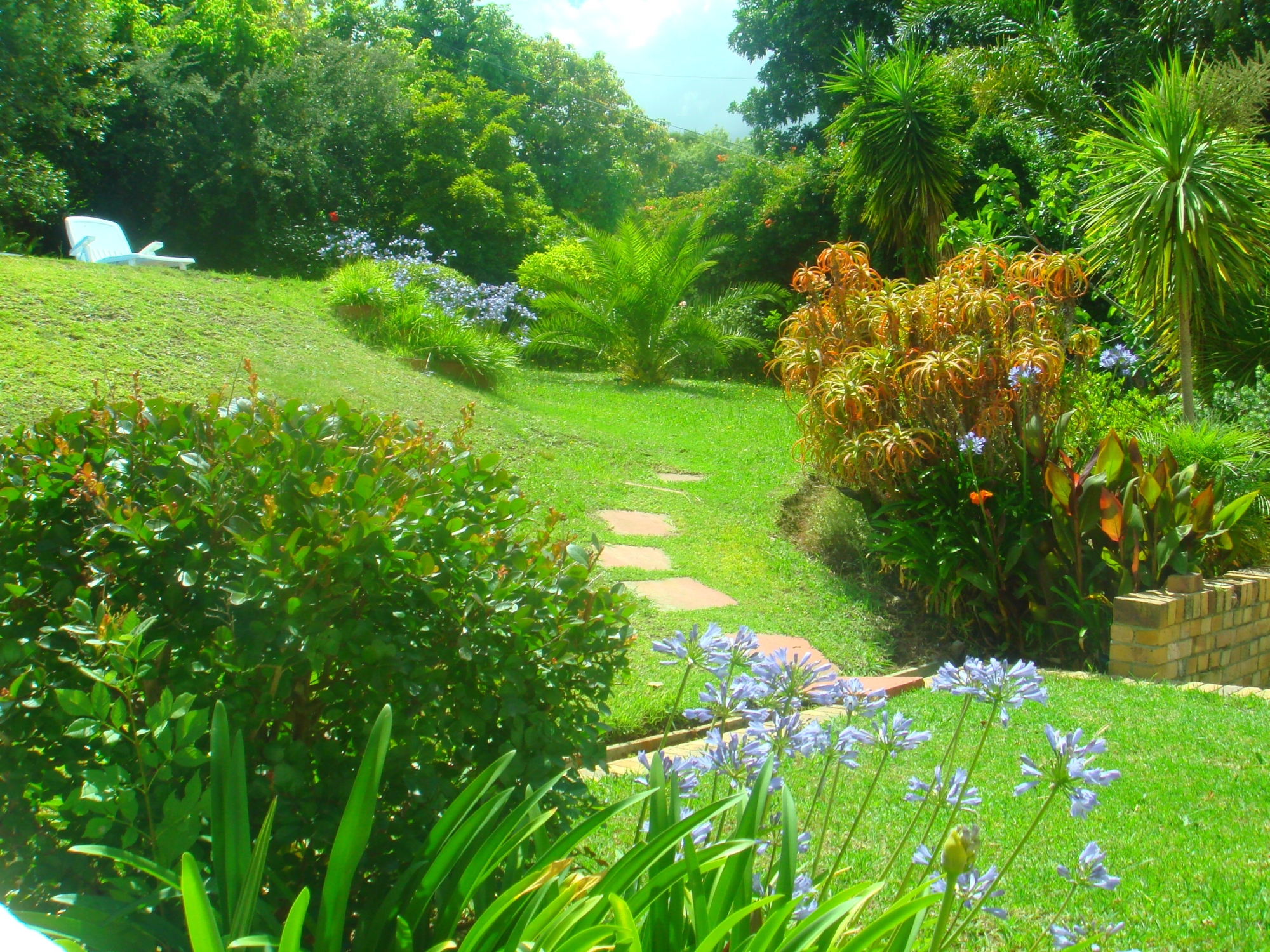 Blick in den Garten und zum Aufgang zum Schwimmbad