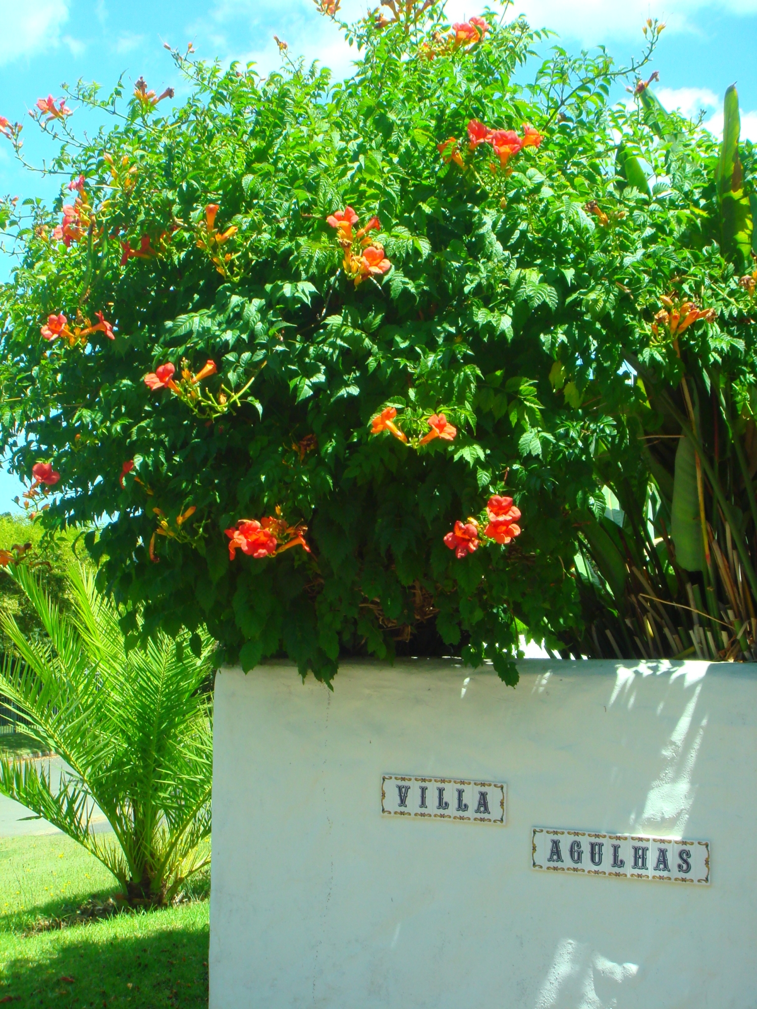 Villa Agulhas Stellenbosch