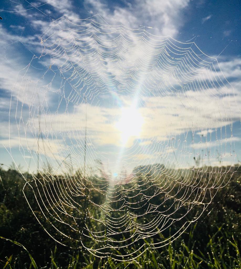 Altweibersommer