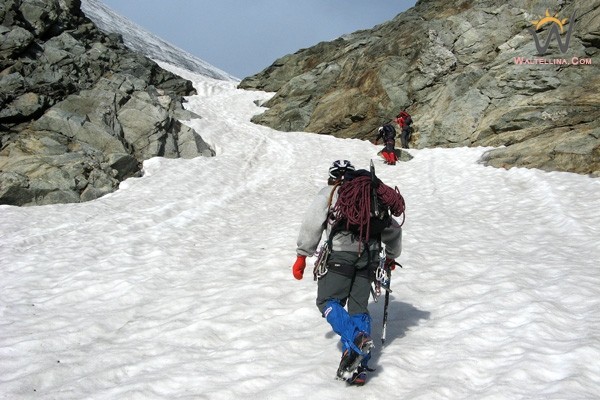 In risalita sulla vedretta di cima Piazzi