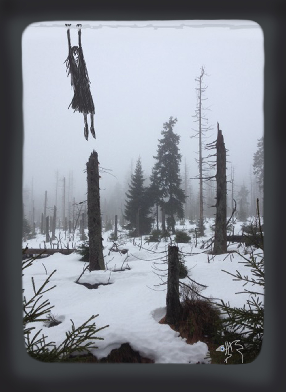 Wintjaule im Winter