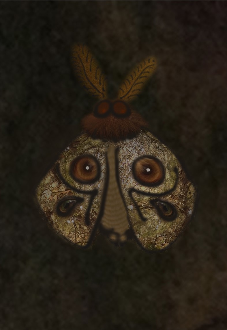 Moth of Eyes and Stones