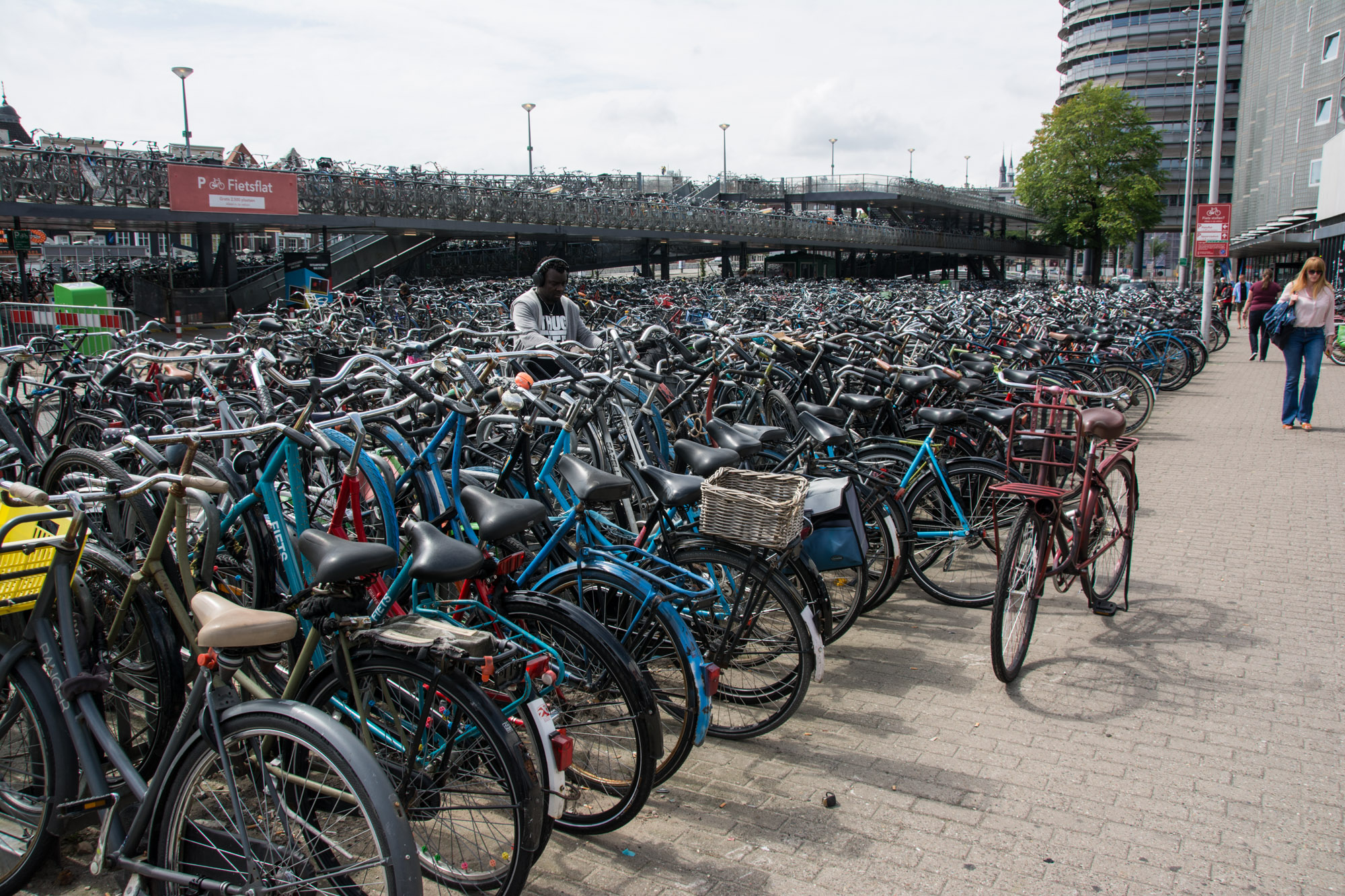 fahrrad fahren an der nordsee in holland und belgien