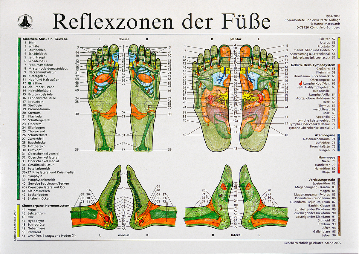 Zonentafel "Reflexzonen der Füße" von Hanne Marquardt