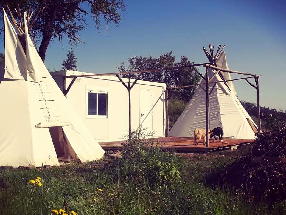 Location de Tipis pour événements privés ou autres .