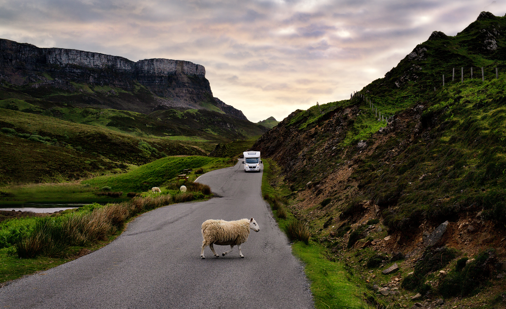 Wohnmobil_Schottland_Isle of Skye_Quairang_Hund