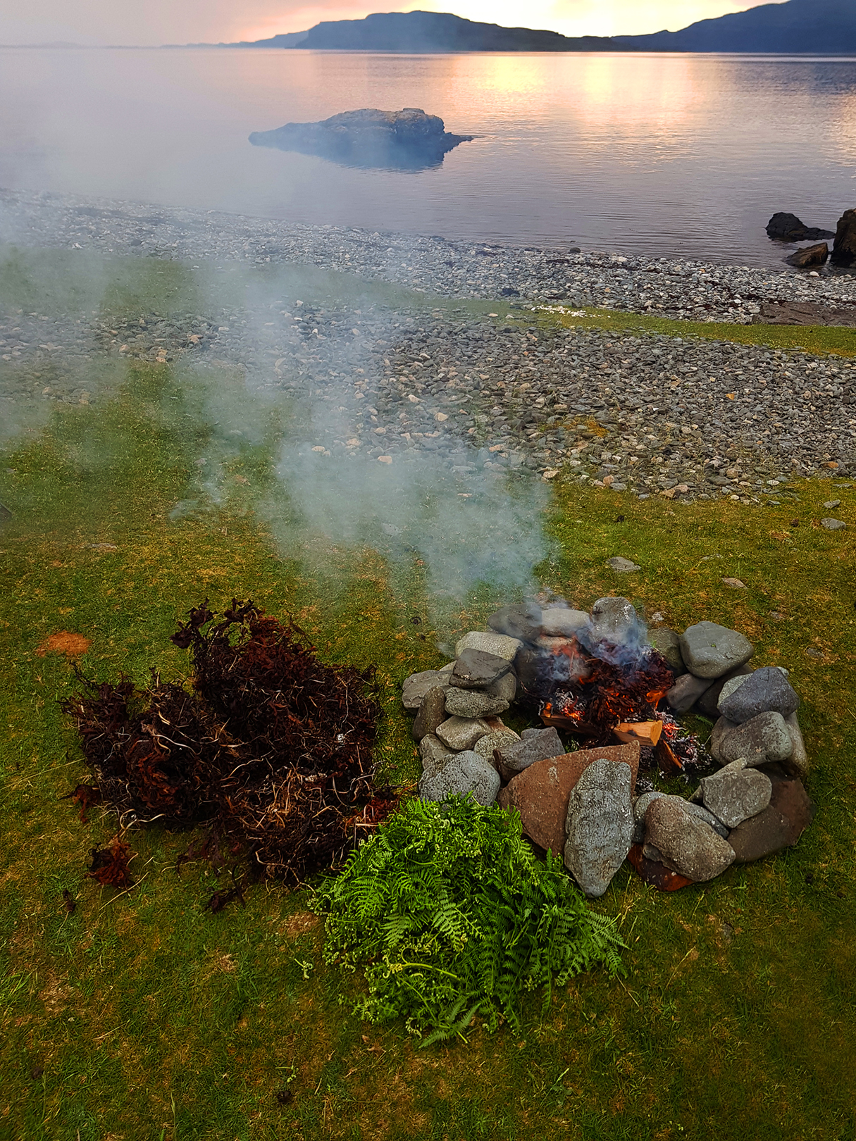 Midges_Schottland_Mücken_Plage_Erfahrungen_Wohnmobil