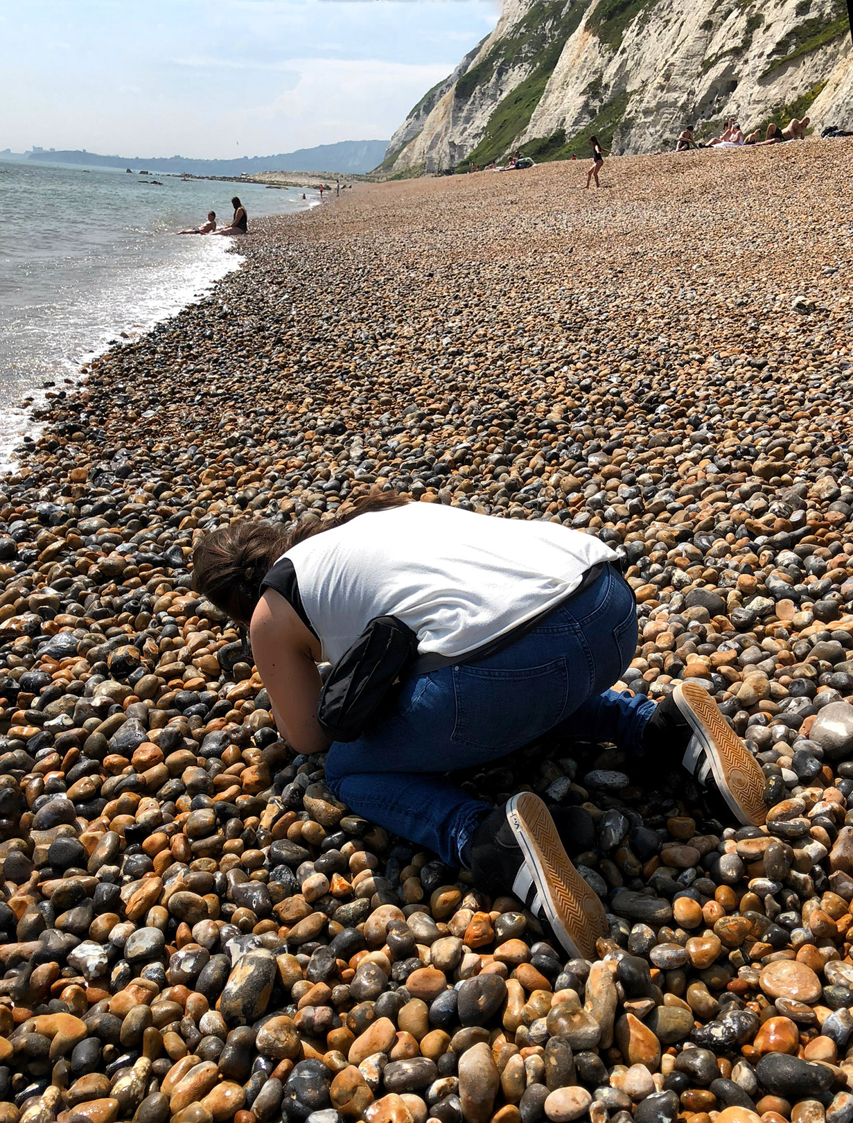 Dünkirchen_Dover_Fähre_Hund_DFDS_Schottland