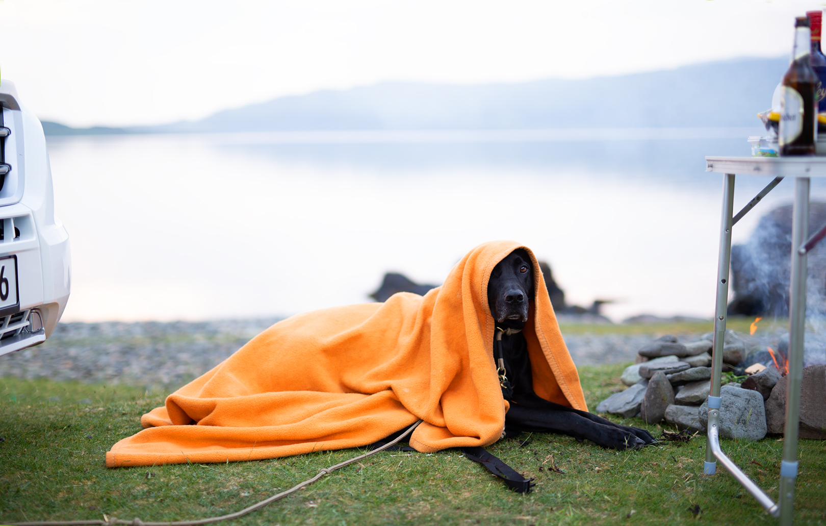 Reisen mit Hund_Wohnmobil_Campen_Schottland