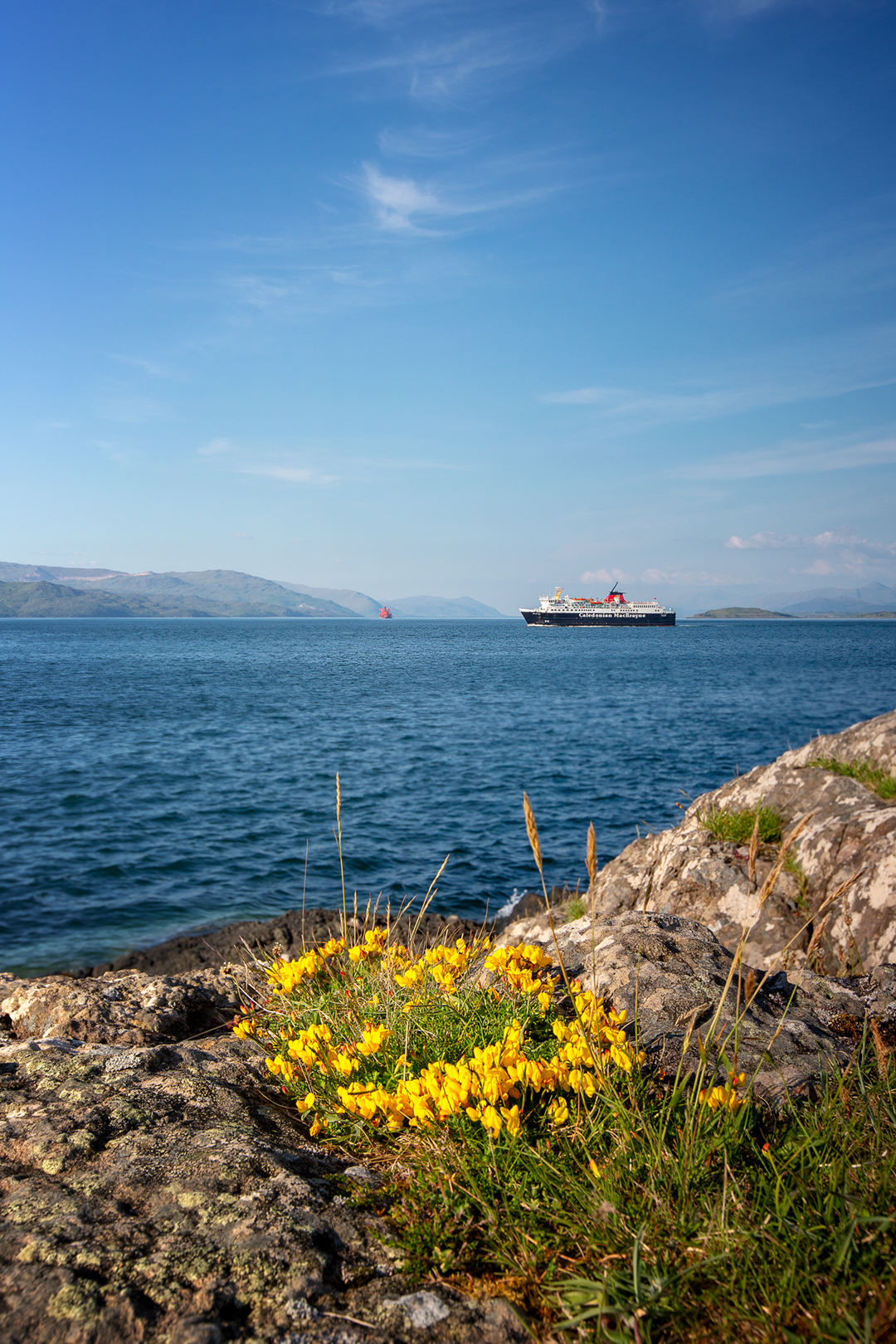 Isle of Mull_Schottland_Castle Duart_Wohnmobil_Hund