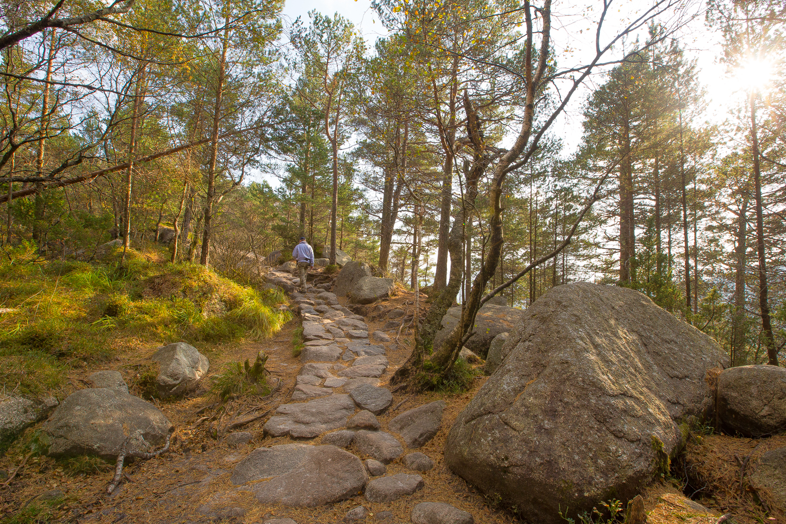 Wanderung_Preikestolen_Norwegen_Wohnmobil_Hund_Die Roadies