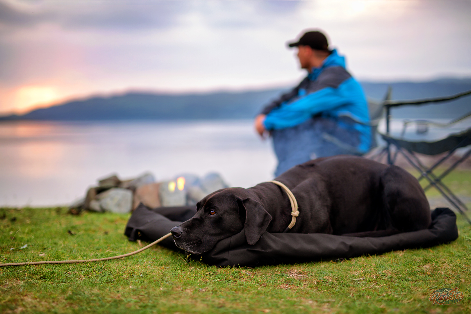 Schottland_Isle of Mull_Wohnmobil_Hund_Erfahrungen