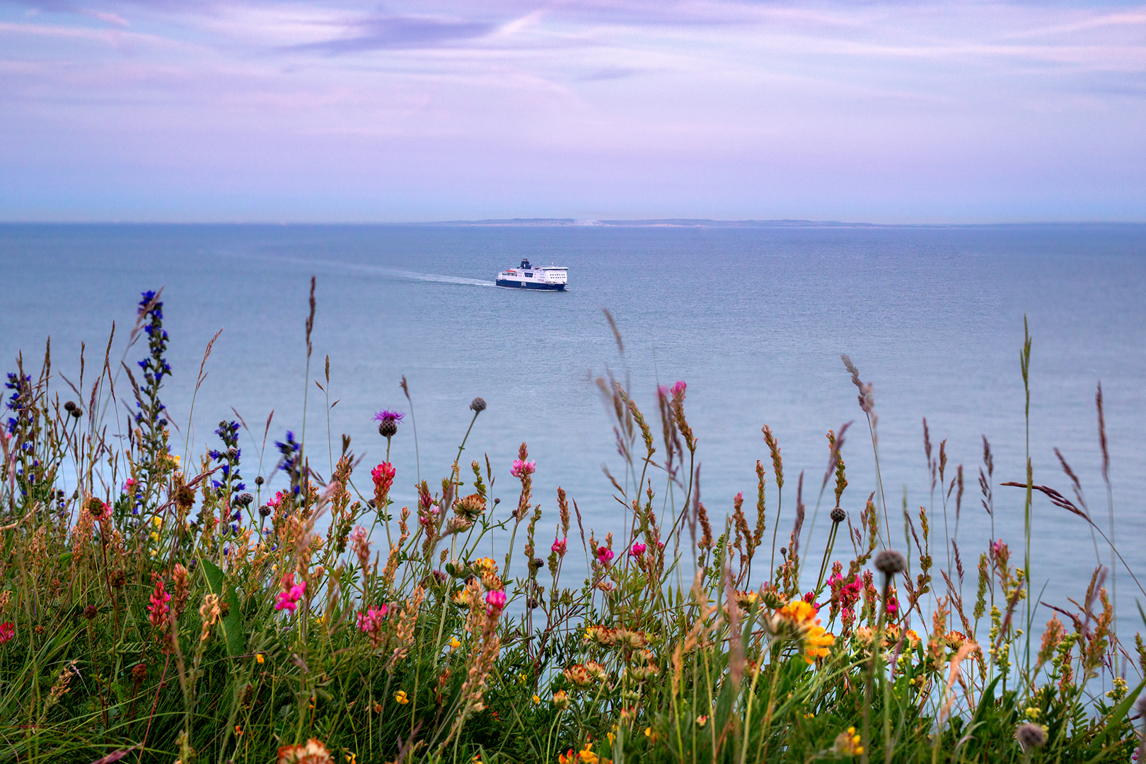 Dover_Wohnmobil_Camper_Hund_Fähre_DFDS_Erfahrungen