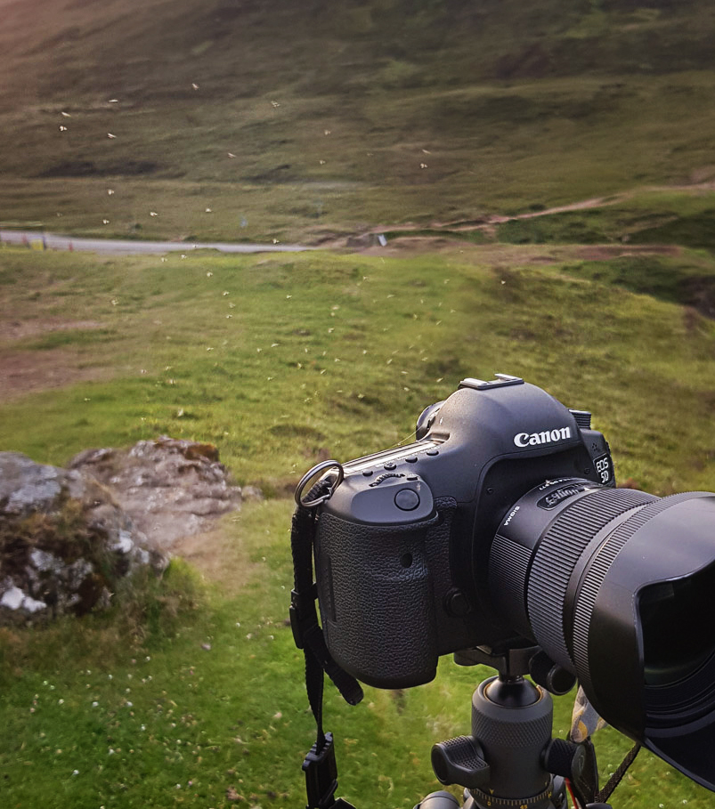 Midges_Schottland_Mücken_Plage_Erfahrungen _Wohnmmobil