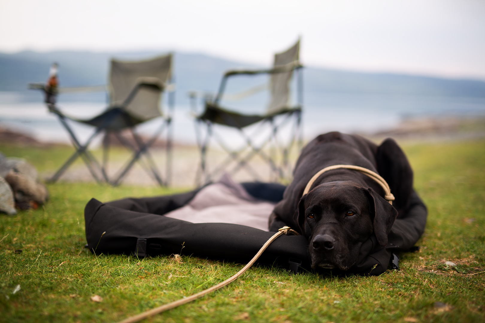 Hundebett_unterwegs_outdoor_wasserfest_regenabweisend