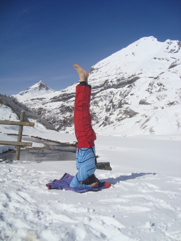 Sarvangasana