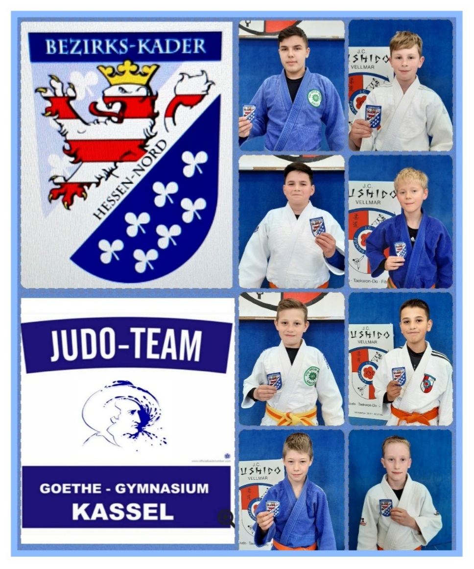 Unsere Judoka im Bezirkskader