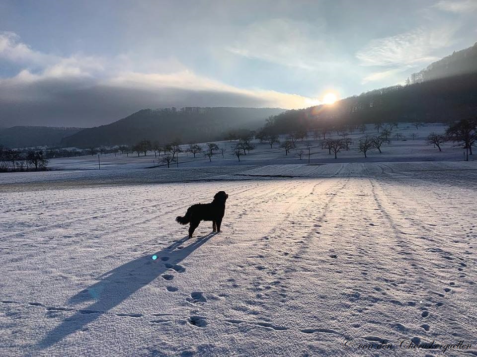 Mein Blick auf die schwäbsche Alp