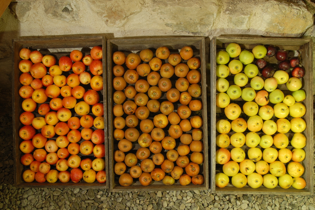 The celebrated local apples…