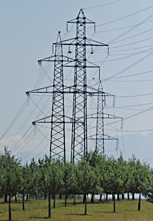 30. Juni 2023 - Stramm stehen sie da, die vermeintlichen "Versorger" unseres Landes