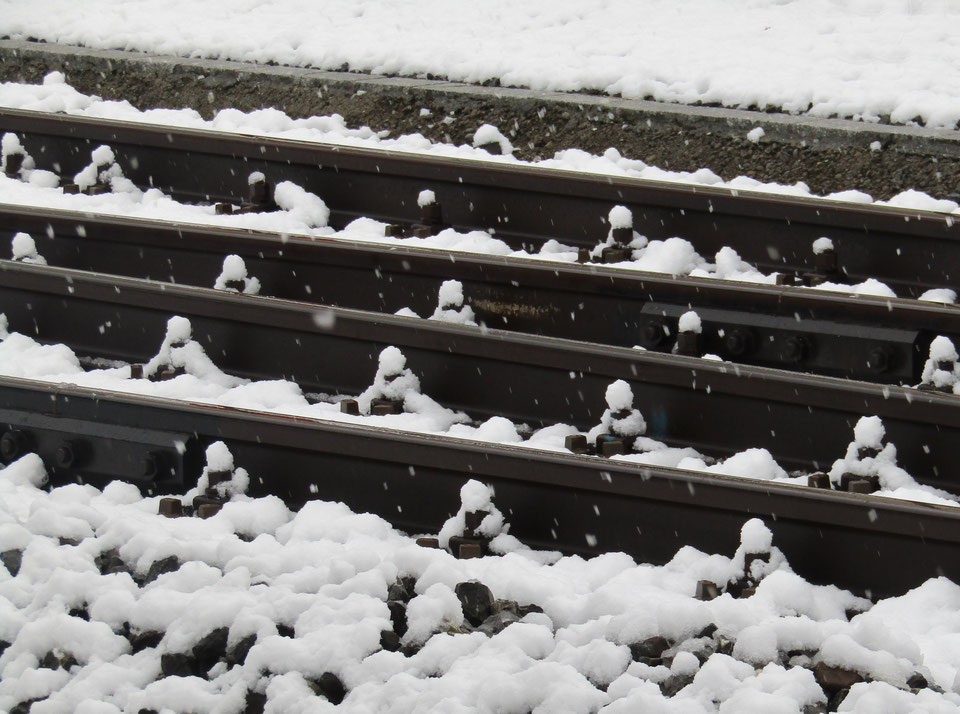 05. April 2019 - Spuren im Schnee