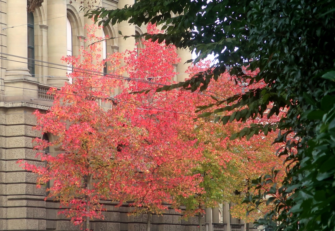 02. November 2023 - Herbst in der Stadt