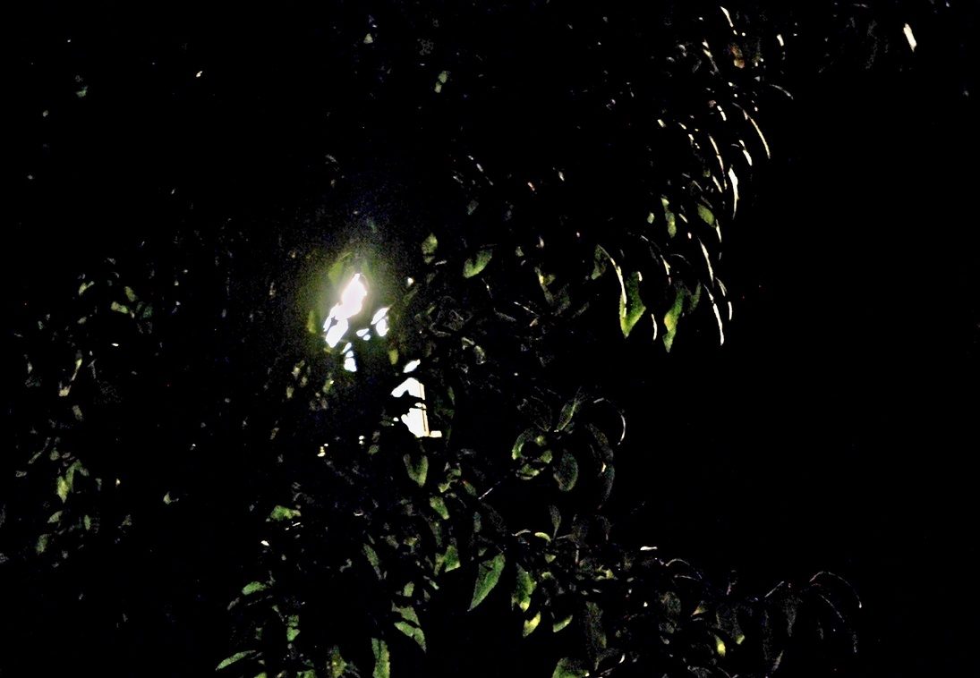 22. September 2023 - Geheimnisvolle Nacht. Zum Grübeln und Gruseln.
